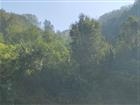 Grumello del Monte, terreno boschivo €. 15000 (GR-349)